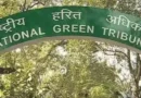 क्षतिपूर्ति शुल्क के स्थानांतरण पर एनजीटी ने डीपीसीसी पर लगाया 50 हजार रुपये का जुर्माना