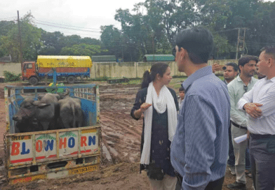 रामनगर नगर पालिका में कमिश्नर का छापा, गड़बड़ी पर भड़के दीपक रावत, कहा ये स्कैम है, डीएम को जांच सौंपी
