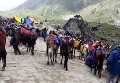 केदारनाथ यात्रा में ओवररेटिंग का बड़ा मामला उजागर, घोड़ा हॉकर्स पर पुलिस की सख्त कार्रवाई, लौटाए रुपए केदारनाथ यात्रा में ओवररेटिंग का बड़ा मामला उजागर, घोड़ा हॉकर्स पर पुलिस की सख्त कार्रवाई, लौटाए रुपए