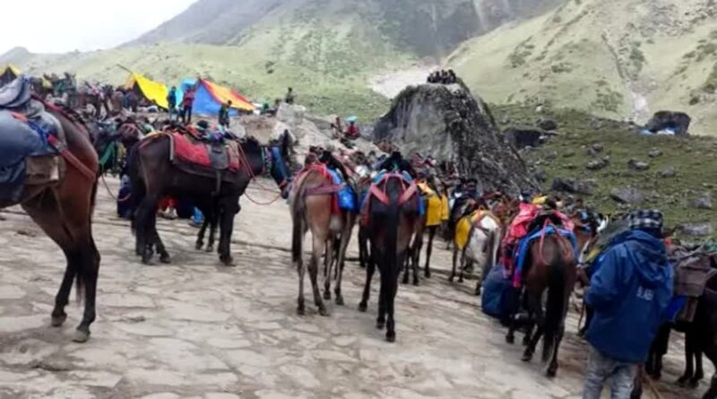 केदारनाथ यात्रा में ओवररेटिंग का बड़ा मामला उजागर, घोड़ा हॉकर्स पर पुलिस की सख्त कार्रवाई, लौटाए रुपए केदारनाथ यात्रा में ओवररेटिंग का बड़ा मामला उजागर, घोड़ा हॉकर्स पर पुलिस की सख्त कार्रवाई, लौटाए रुपए