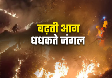 उत्तराखंड के जंगलों में आग का भयंकर तांडव, 3 महीने में 300 घटनाएं रिकार्ड, 239 हेक्टेयर वन क्षेत्र राख उत्तराखंड के जंगलों में आग का भयंकर तांडव, 3 महीने में 300 घटनाएं रिकार्ड, 239 हेक्टेयर वन क्षेत्र राख