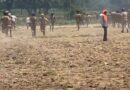 बैरागीवाला विनोद मर्डर केस, पथराव और आगजनी करने वाले 150 अज्ञात लोगों के खिलाफ मुकदमा दर्ज बैरागीवाला विनोद मर्डर केस, पथराव और आगजनी करने वाले 150 अज्ञात लोगों के खिलाफ मुकदमा दर्ज