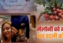 पहली बार इटली एक्सपोर्ट हुई उत्तराखंड की लीची, मेलोडी के बाद देहरादून का फल घोलेगा मिठास पहली बार इटली एक्सपोर्ट हुई उत्तराखंड की लीची, मेलोडी के बाद देहरादून का फल घोलेगा मिठास