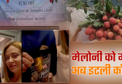 पहली बार इटली एक्सपोर्ट हुई उत्तराखंड की लीची, मेलोडी के बाद देहरादून का फल घोलेगा मिठास पहली बार इटली एक्सपोर्ट हुई उत्तराखंड की लीची, मेलोडी के बाद देहरादून का फल घोलेगा मिठास