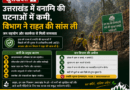 उत्तराखंड में वनाग्नि की घटनाओं में कमी, विभाग ने राहत की सांस ली