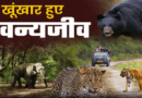 वन्यजीव संघर्ष के लिए बनेगी जनपद स्तरीय कमेटी, पंचायतों की भूमिका को मजबूत करने पर होगा बल