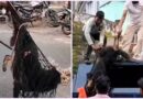 रुद्रप्रयाग-अगस्त्यमुनि में स्ट्रीट डॉग का आतंक, 24 लोगों को काटा, क्षेत्र में दहशत का माहौल रुद्रप्रयाग-अगस्त्यमुनि में स्ट्रीट डॉग का आतंक, 24 लोगों को काटा, क्षेत्र में दहशत का माहौल