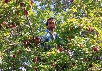 उत्तराखंड में फल और सब्जी उत्पादकों को मिलेगा आधुनिक कोल्ड स्टोरेज का लाभ, किसानों की आय बढ़ाने की दिशा में बड़ी पहल उत्तराखंड में फल और सब्जी उत्पादकों को मिलेगा आधुनिक कोल्ड स्टोरेज का लाभ, किसानों की आय बढ़ाने की दिशा में बड़ी पहल