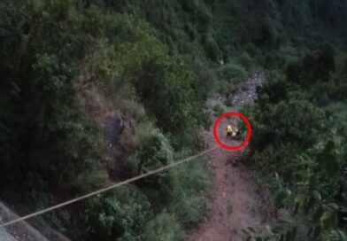 विकासनगर के त्यूणी में भीषण हादसा, 300 मीटर गहरी खाई में गिरी कार, 1 की मौत, दो लोग घायल विकासनगर के त्यूणी में भीषण हादसा, 300 मीटर गहरी खाई में गिरी कार, 1 की मौत, दो लोग घायल